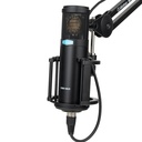 MICROFONO DE CONDENSADOR FET ALCTRON, DE ALTO RENDIMIENTO 34MM, 20 Hz-20 kHz